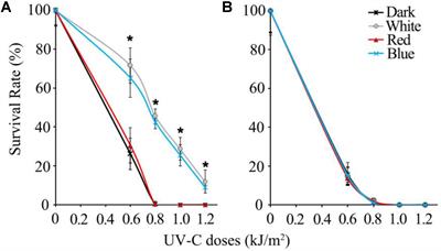 Fungal Gene Mutation Analysis Elucidating Photoselective Enhancement of UV-C Disinfection Efficiency Toward Spoilage Agents on Fruit Surface